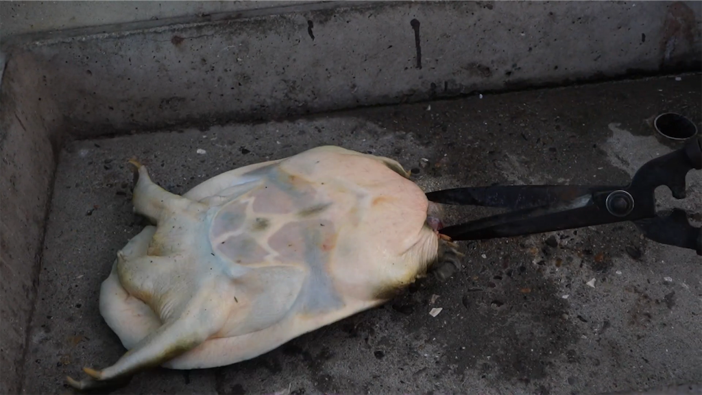 f:id:dreadnote666:20210601122146p:image