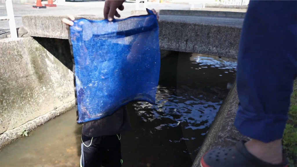 f:id:dreadnote666:20210601122157p:image