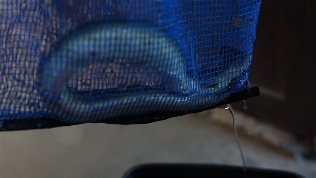 f:id:dreadnote666:20210601122204p:image