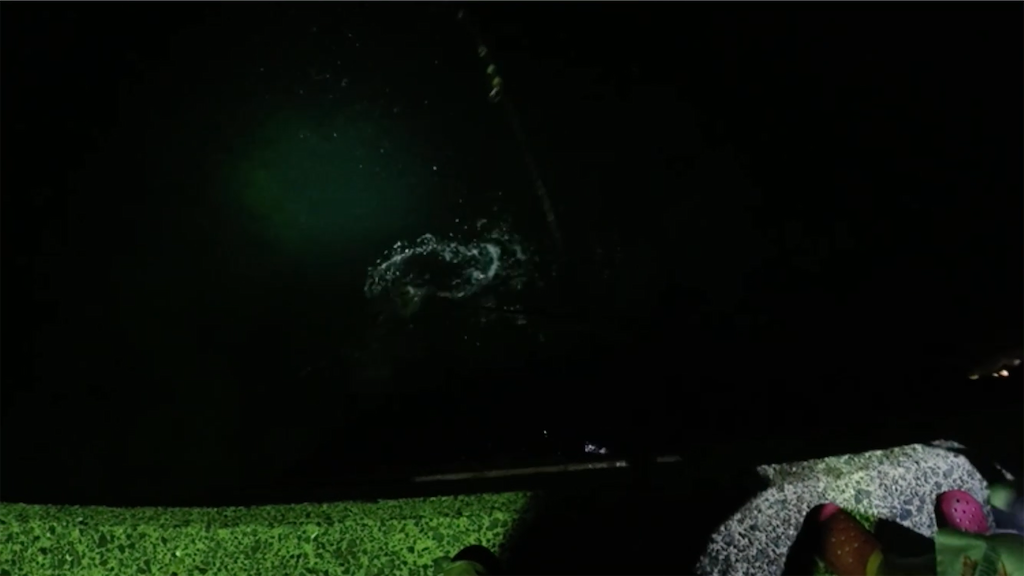 f:id:dreadnote666:20210621113901p:image f:id:dreadnote666:20210621113901p:image