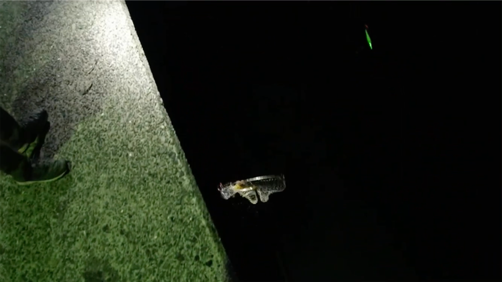 f:id:dreadnote666:20210621113957p:image f:id:dreadnote666:20210621113957p:image