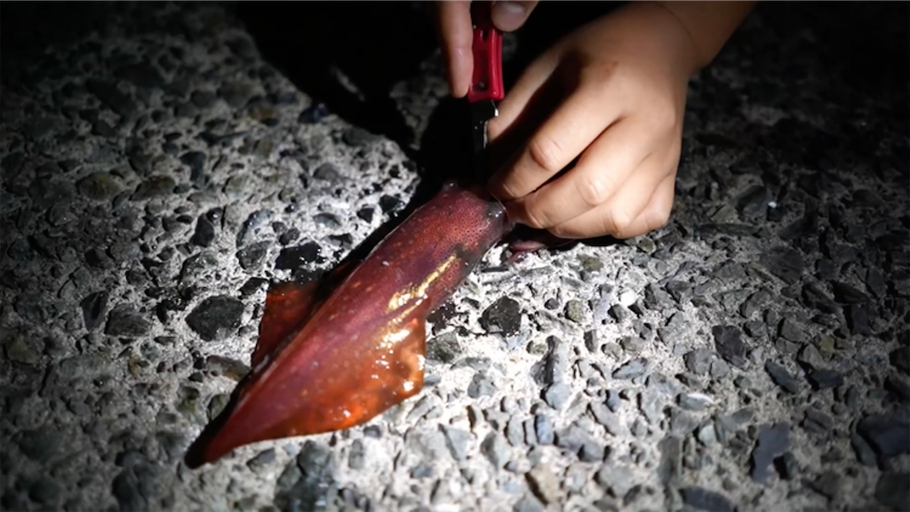 f:id:dreadnote666:20210621114020p:image f:id:dreadnote666:20210621114020p:image