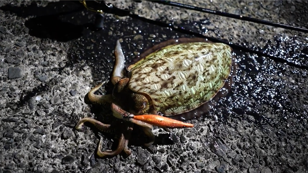 f:id:dreadnote666:20210621114042p:image f:id:dreadnote666:20210621114042p:image