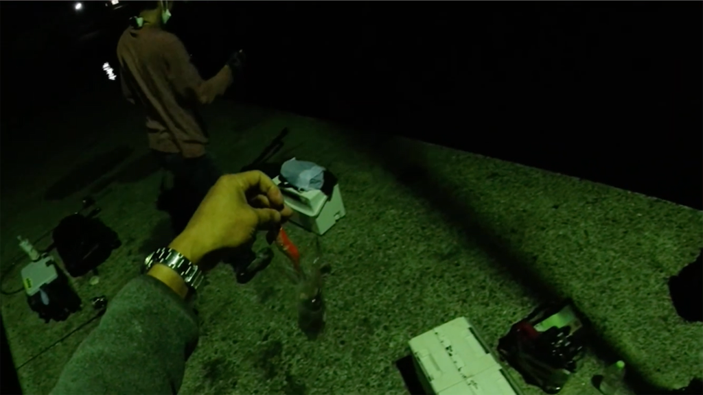 f:id:dreadnote666:20210621114056p:image f:id:dreadnote666:20210621114056p:image