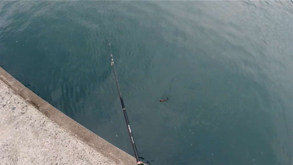 f:id:dreadnote666:20210701150110p:image