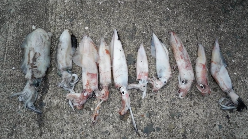 f:id:dreadnote666:20210701150132p:image