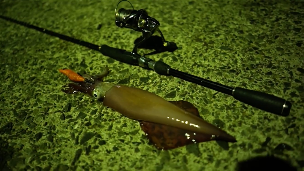 f:id:dreadnote666:20210701150154p:image