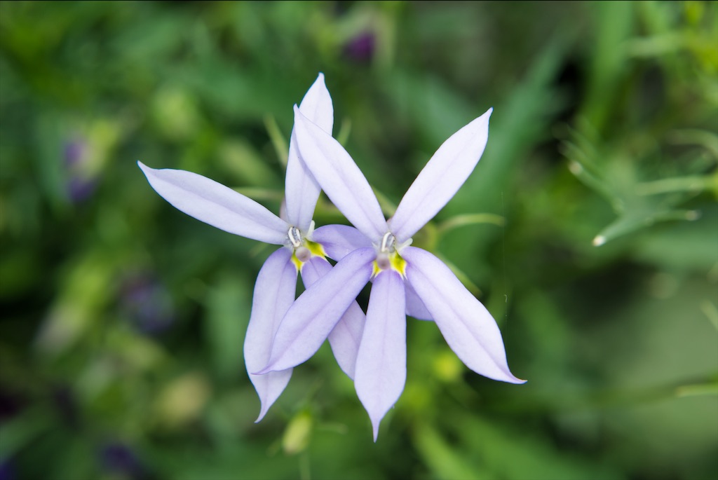 f:id:dreadnote666:20210702115656j:image