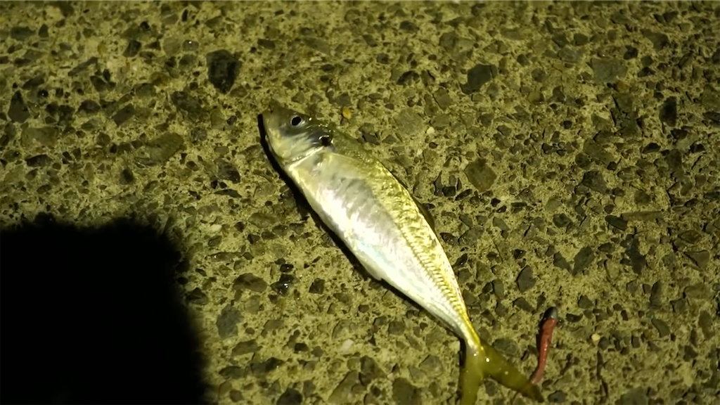 f:id:dreadnote666:20210906085636p:image f:id:dreadnote666:20210906085636p:image