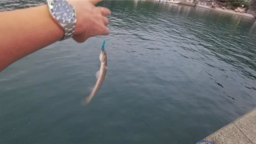 f:id:dreadnote666:20210906085706p:image f:id:dreadnote666:20210906085706p:image