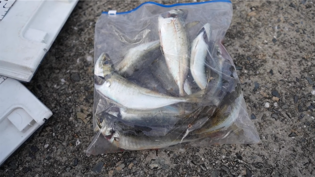 f:id:dreadnote666:20210906085713p:image f:id:dreadnote666:20210906085713p:image