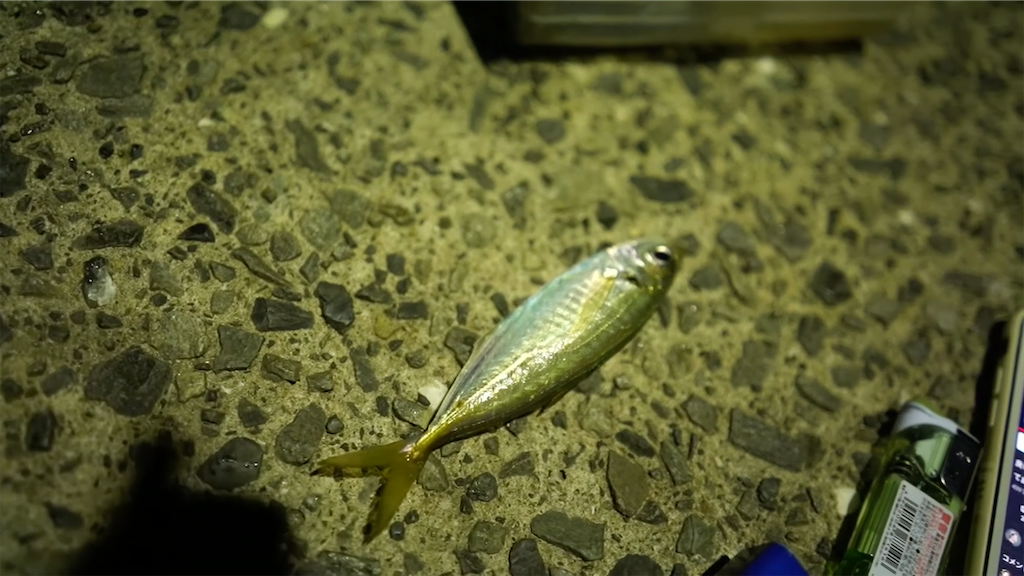 f:id:dreadnote666:20210906085720p:image f:id:dreadnote666:20210906085720p:image