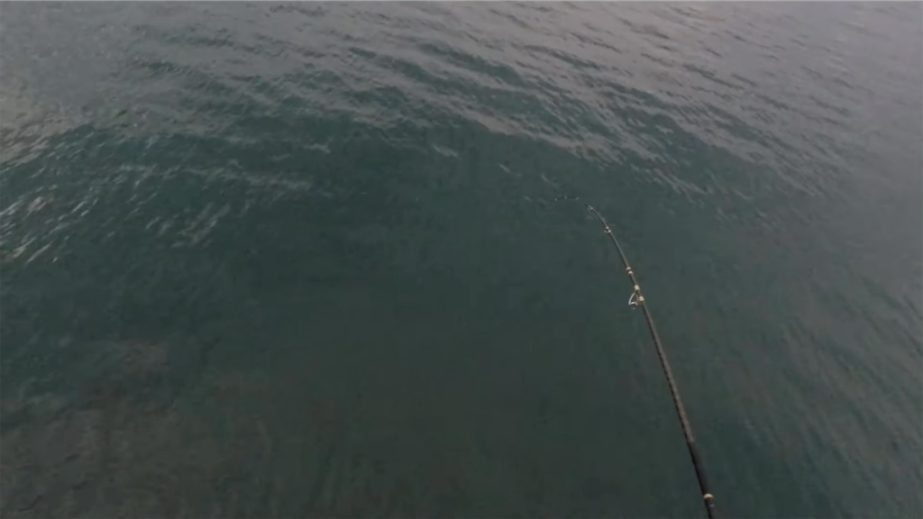 f:id:dreadnote666:20210906085757p:image f:id:dreadnote666:20210906085757p:image