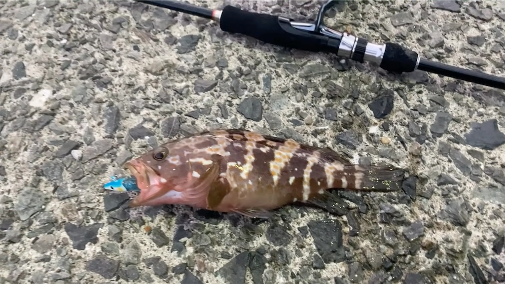 f:id:dreadnote666:20210906085815p:image f:id:dreadnote666:20210906085815p:image