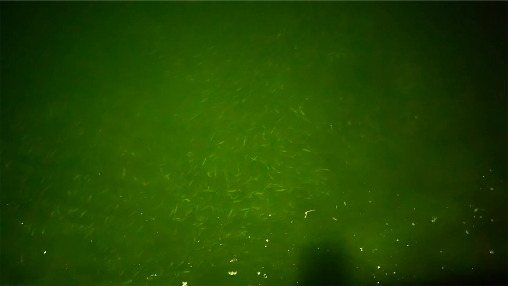 f:id:dreadnote666:20210906085821p:image f:id:dreadnote666:20210906085821p:image