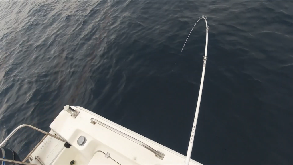 f:id:dreadnote666:20210913084751p:image