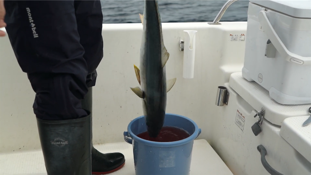 f:id:dreadnote666:20210913084843p:image