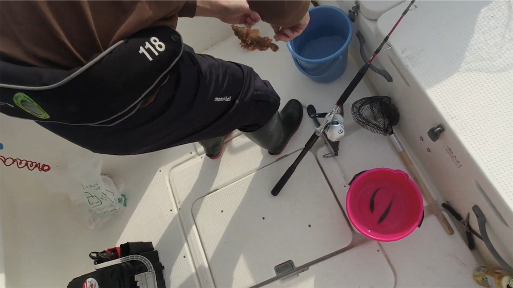 f:id:dreadnote666:20210913085052p:image