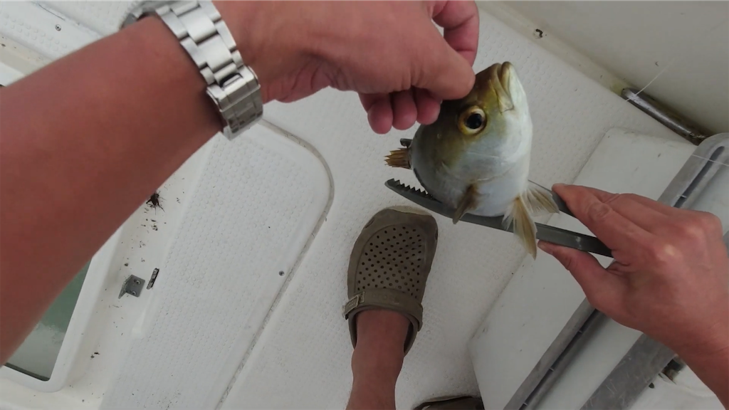 f:id:dreadnote666:20210913085311p:image