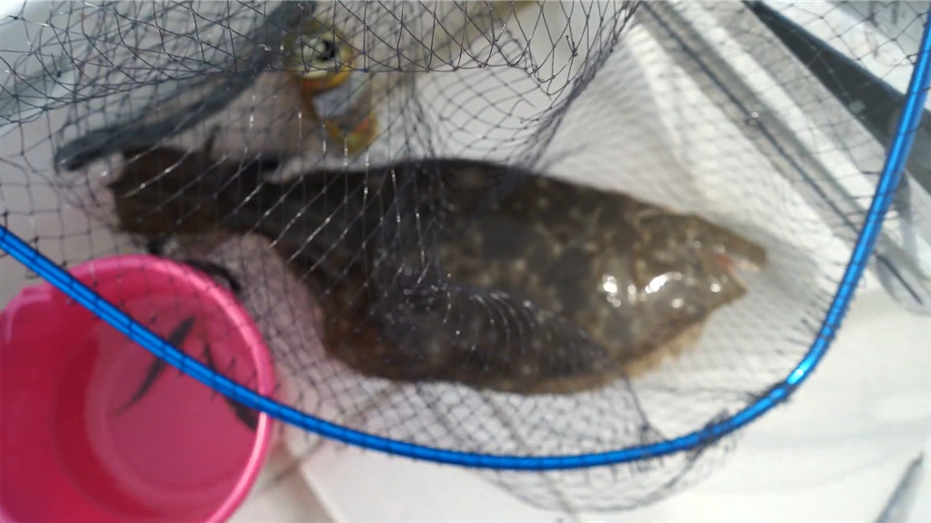 f:id:dreadnote666:20210913085338p:image