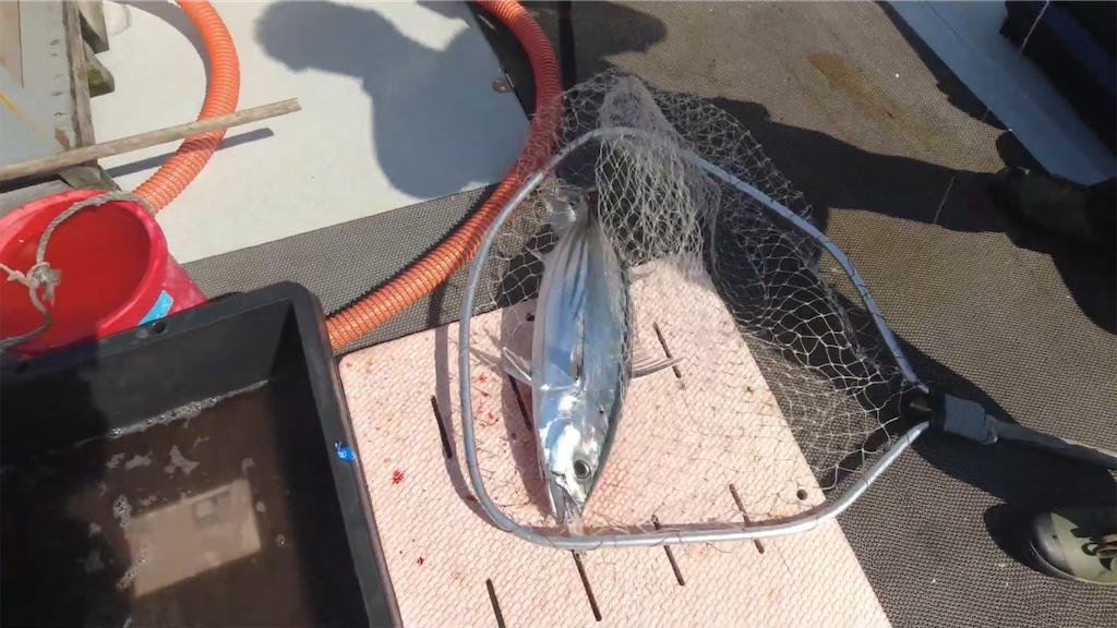 f:id:dreadnote666:20211004130041p:image