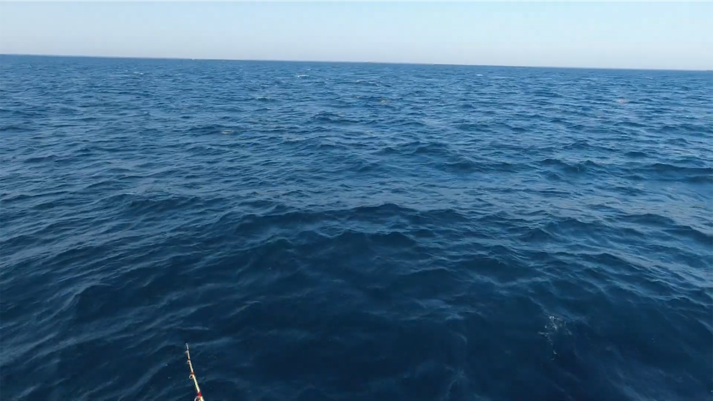 f:id:dreadnote666:20211004130127p:image