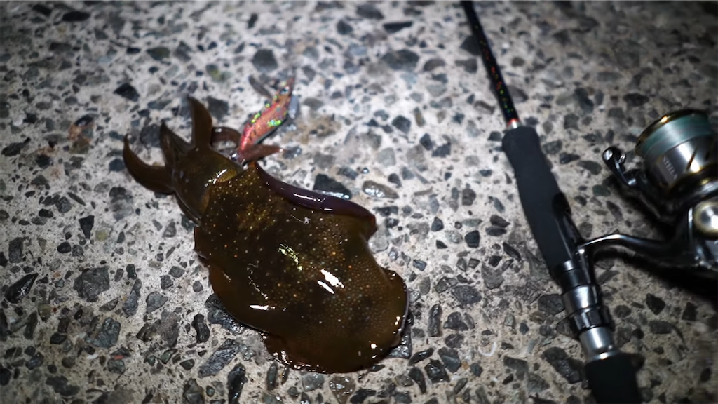 f:id:dreadnote666:20211018123708p:image f:id:dreadnote666:20211018123708p:image