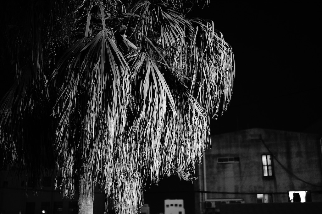 f:id:dreadnote666:20211108144519j:image