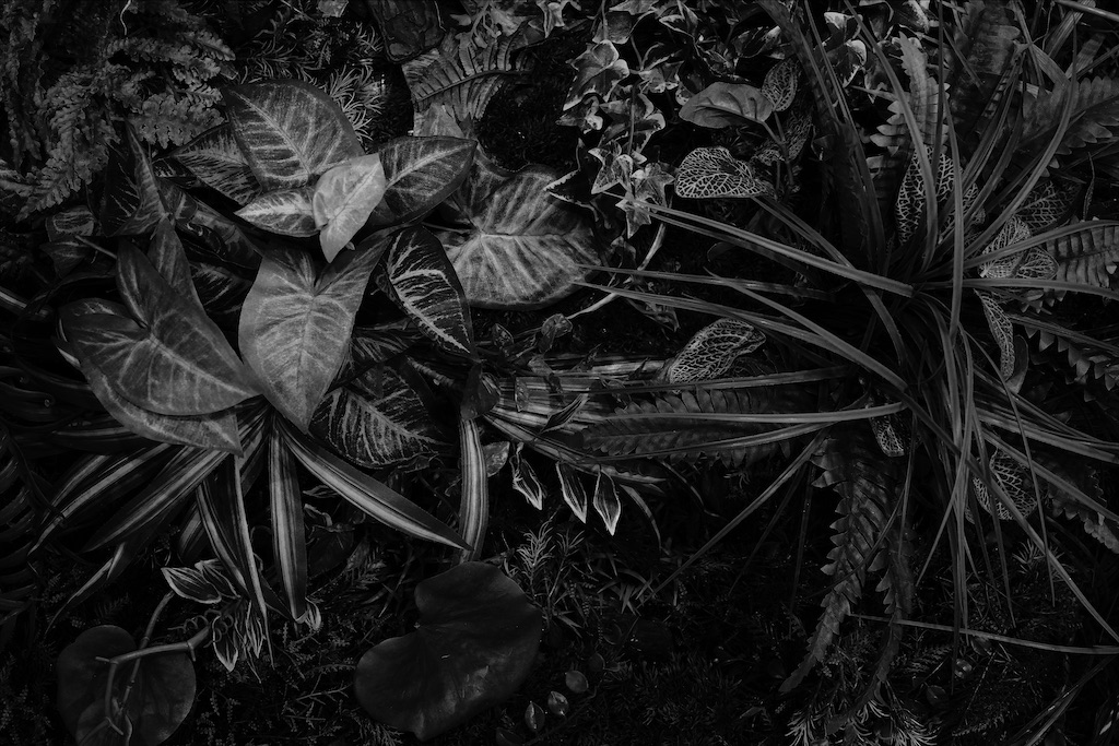 f:id:dreadnote666:20211108144526j:image