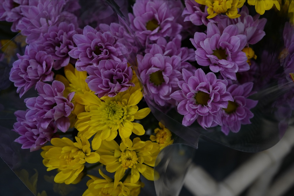 f:id:dreadnote666:20211108144532j:image