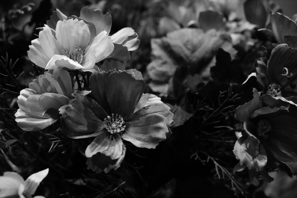 f:id:dreadnote666:20211108144542j:image