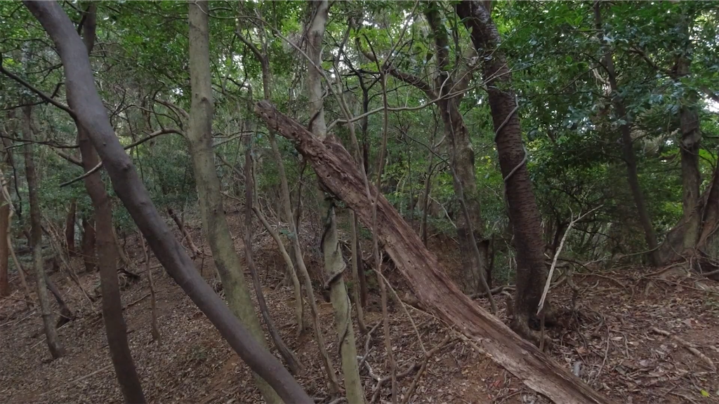 f:id:dreadnote666:20211116085707p:image