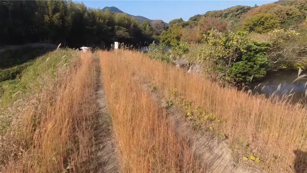 f:id:dreadnote666:20211124122944p:image