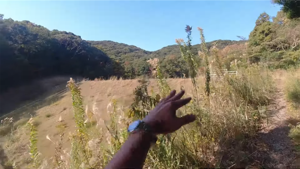 f:id:dreadnote666:20211124122950p:image