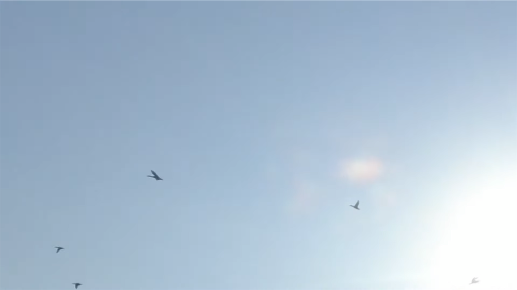 f:id:dreadnote666:20211124123002p:image