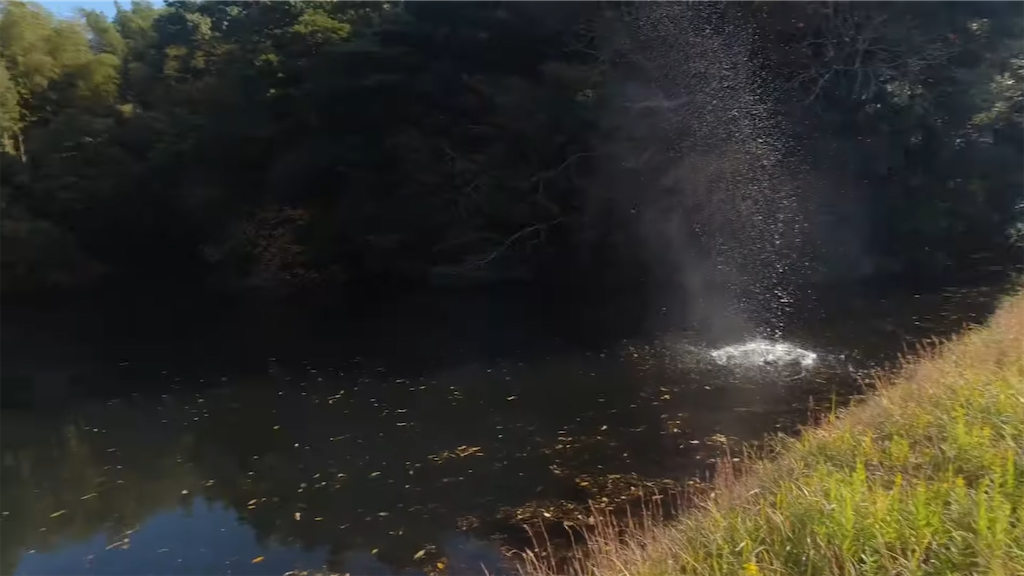 f:id:dreadnote666:20211124123134p:image