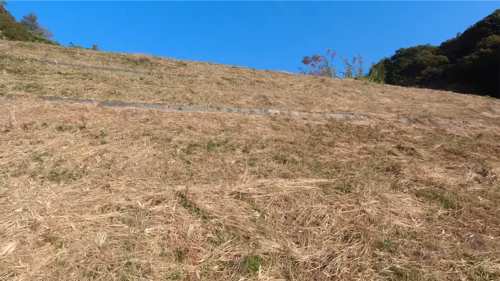 f:id:dreadnote666:20211124123222p:image