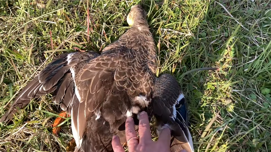 f:id:dreadnote666:20211124123244p:image