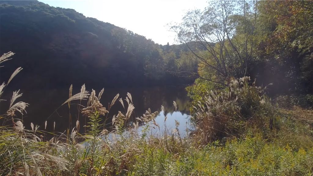 f:id:dreadnote666:20211124123259p:image