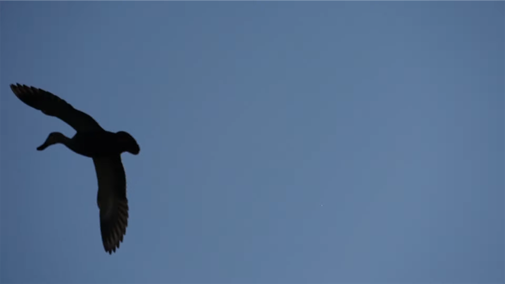 f:id:dreadnote666:20211124123314p:image