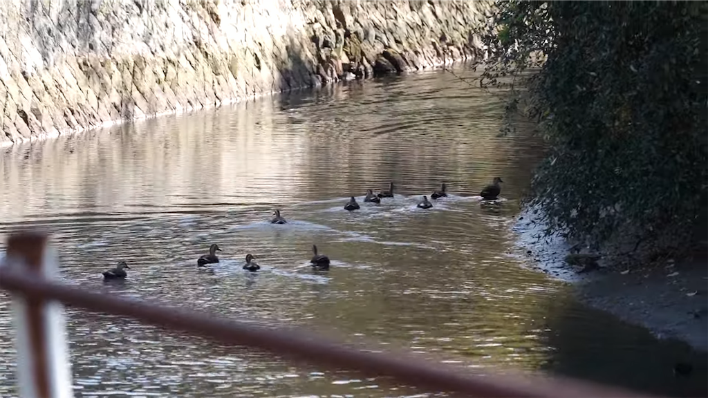 f:id:dreadnote666:20211124123356p:image