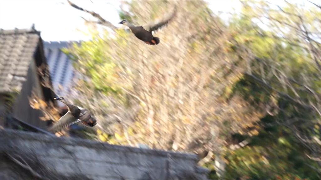 f:id:dreadnote666:20211124123449p:image