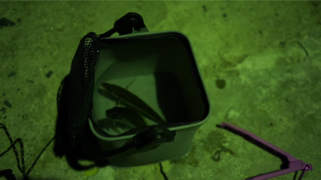 f:id:dreadnote666:20211201103016p:image f:id:dreadnote666:20211201103016p:image