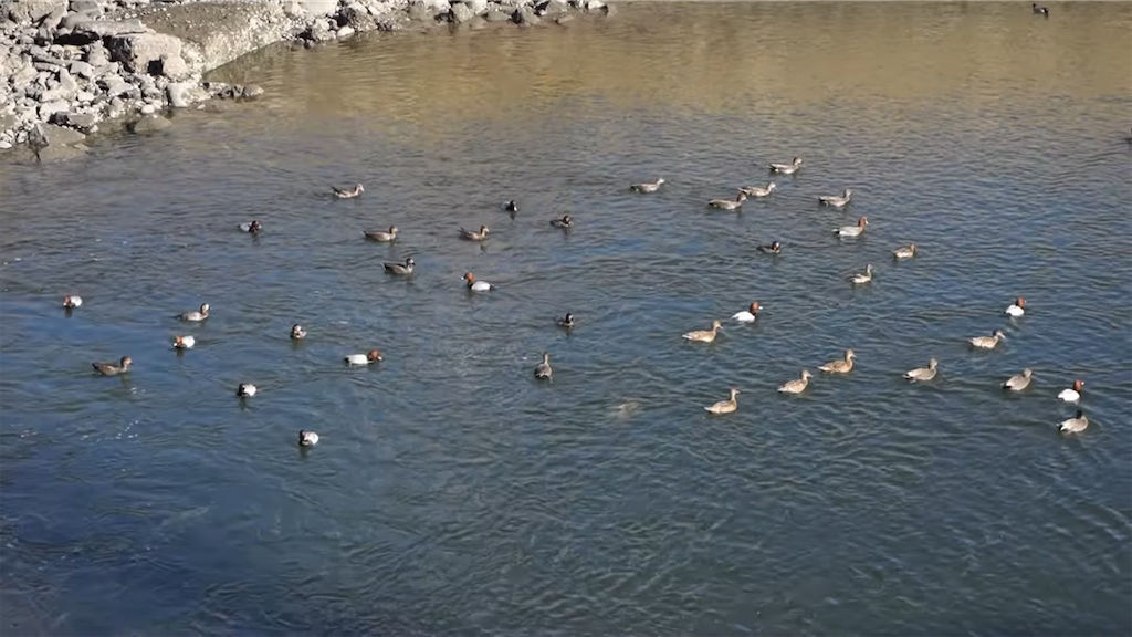 f:id:dreadnote666:20211201103201p:image f:id:dreadnote666:20211201103201p:image