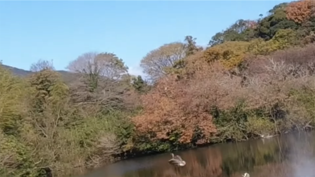 f:id:dreadnote666:20211213095025p:image