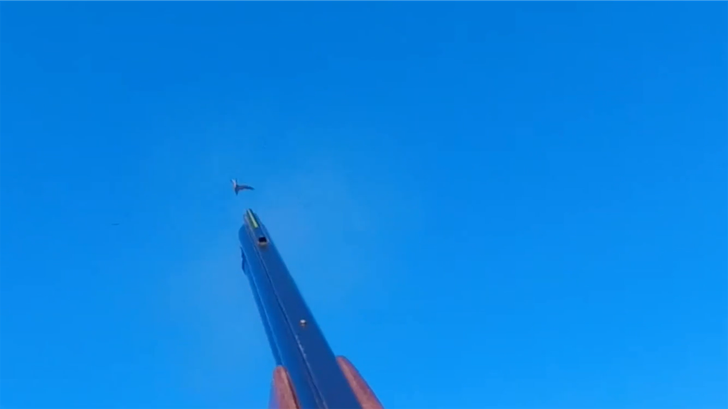 f:id:dreadnote666:20211213095151p:image