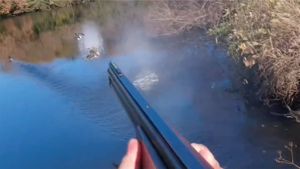 f:id:dreadnote666:20211213095242p:image