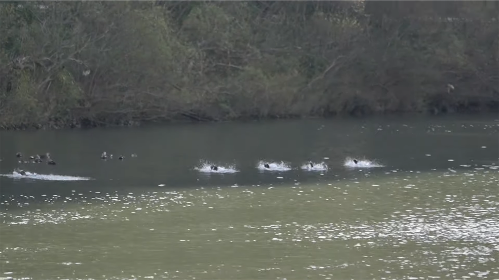 f:id:dreadnote666:20211220110949p:image