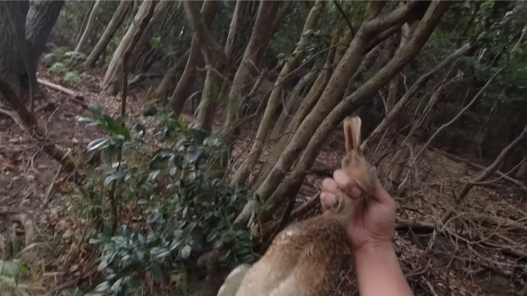 f:id:dreadnote666:20211220111014p:image