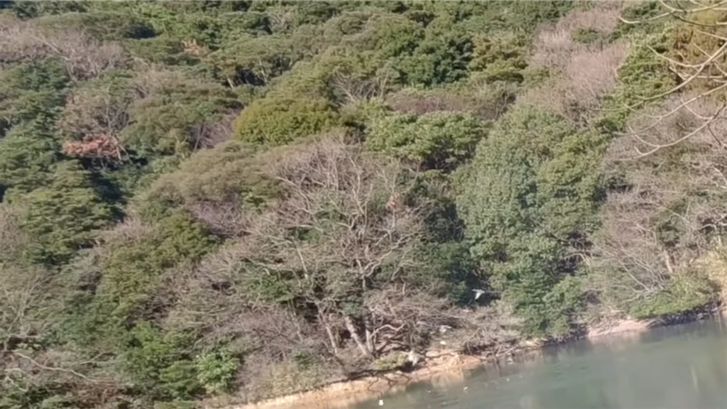 f:id:dreadnote666:20220111120246p:image